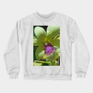 Maui Yellow Dendroblum Orchid Crewneck Sweatshirt